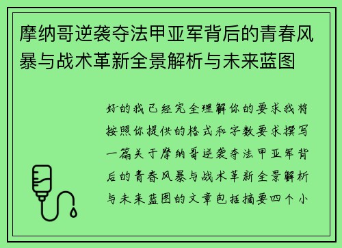 摩纳哥逆袭夺法甲亚军背后的青春风暴与战术革新全景解析与未来蓝图